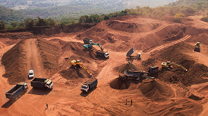 Western India Miners & Developers